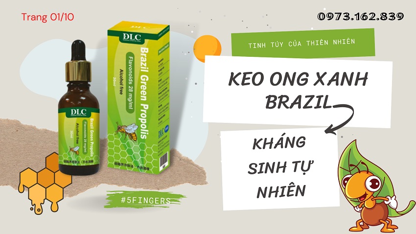 Kể chuyện Keo Ong Xanh Brazil qua hình ảnh