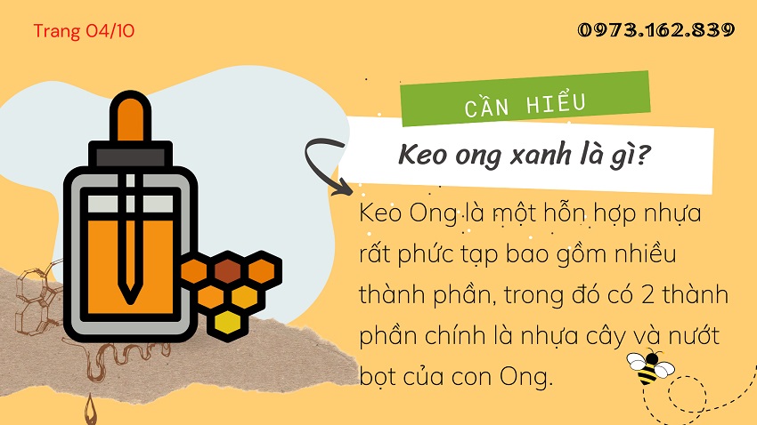 Kể chuyện Keo Ong Xanh Brazil qua hình ảnh