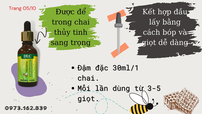 Kể chuyện Keo Ong Xanh Brazil qua hình ảnh